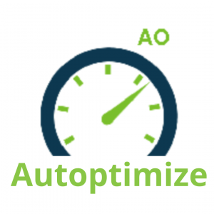 Autoptimize WordPress 300x300 1